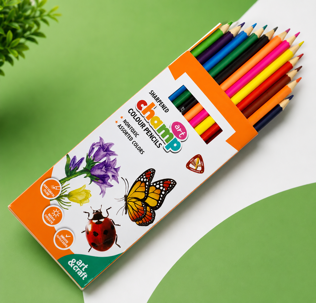 Color Pencils (12 Colors)